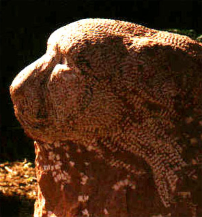 Slide 64